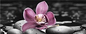 Декор Спа Орхидея 1 20*50
